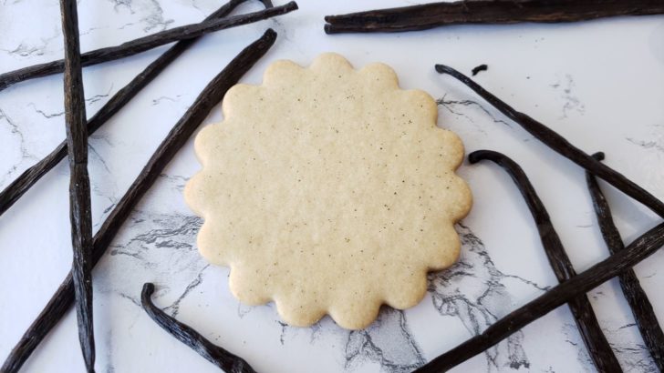 A single vanilla bean cookies surrounded by vanilla bean pods.