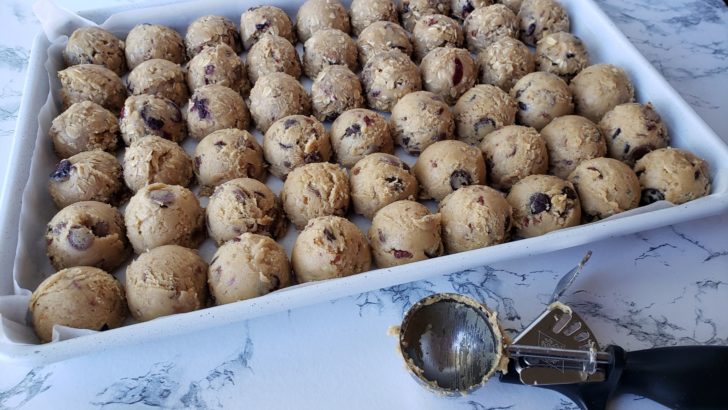 Cookie Scoops as a Unit of Measure@judyschickens